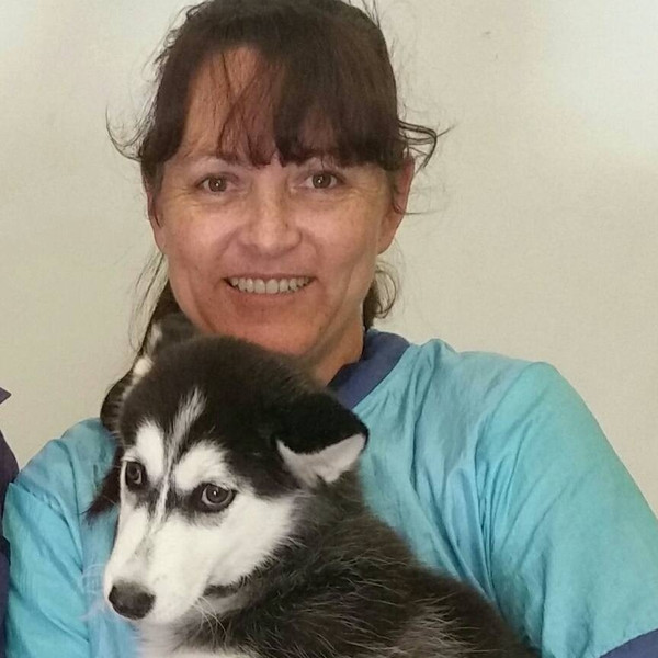 Celina holding a black-and-white husky puppy